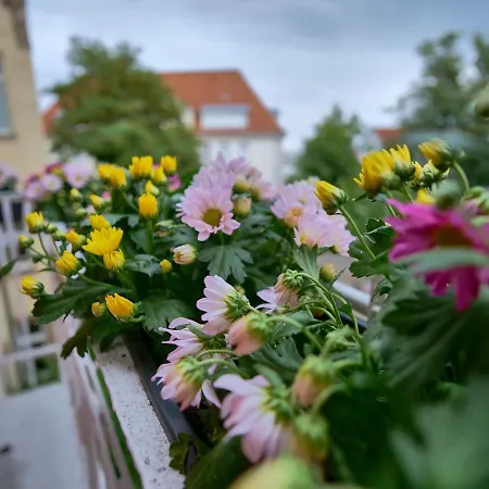 Otto I - Zentrum *